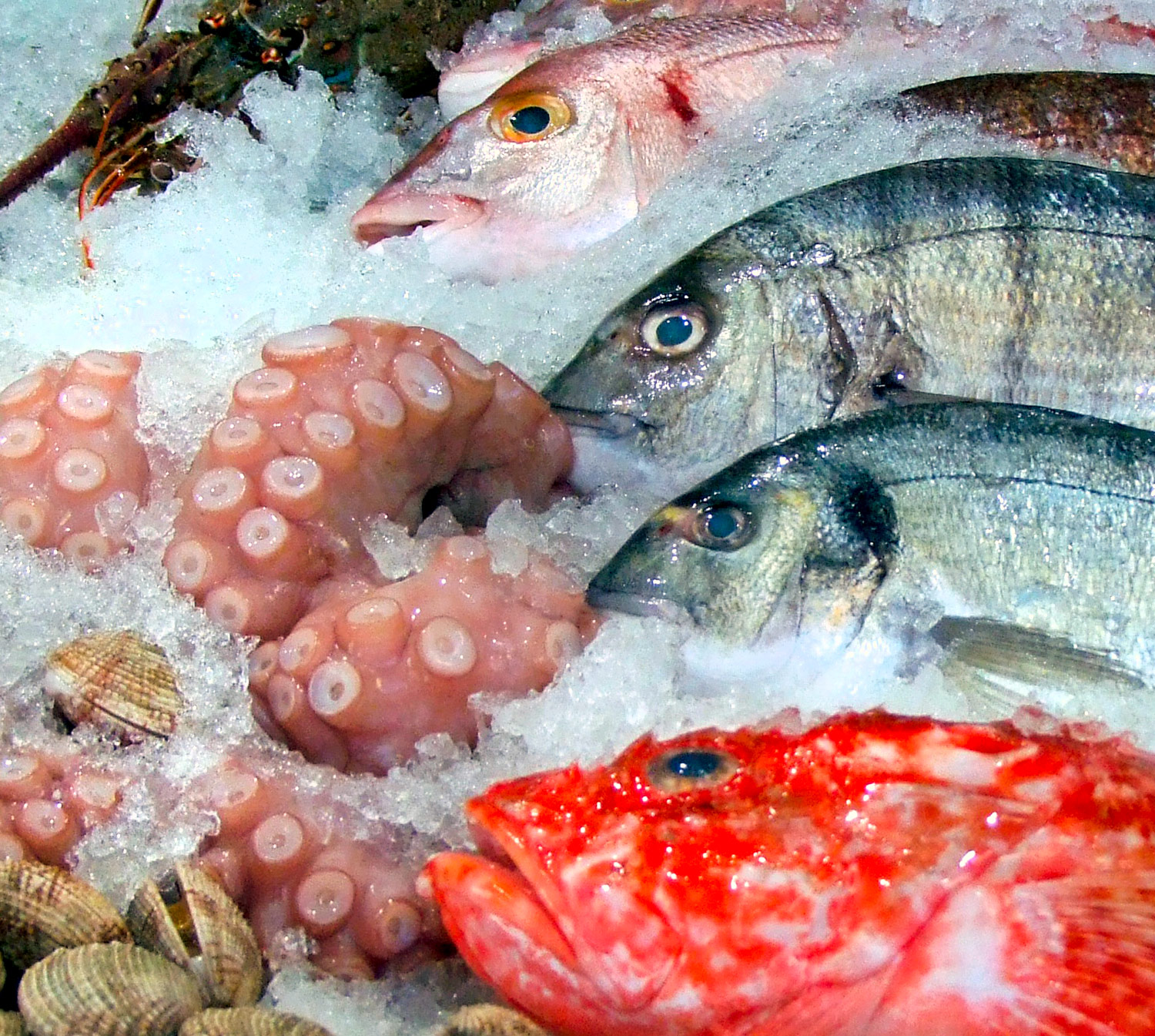 6-applicazione-mercato-pesce 6-applicazione-mercato-pesce