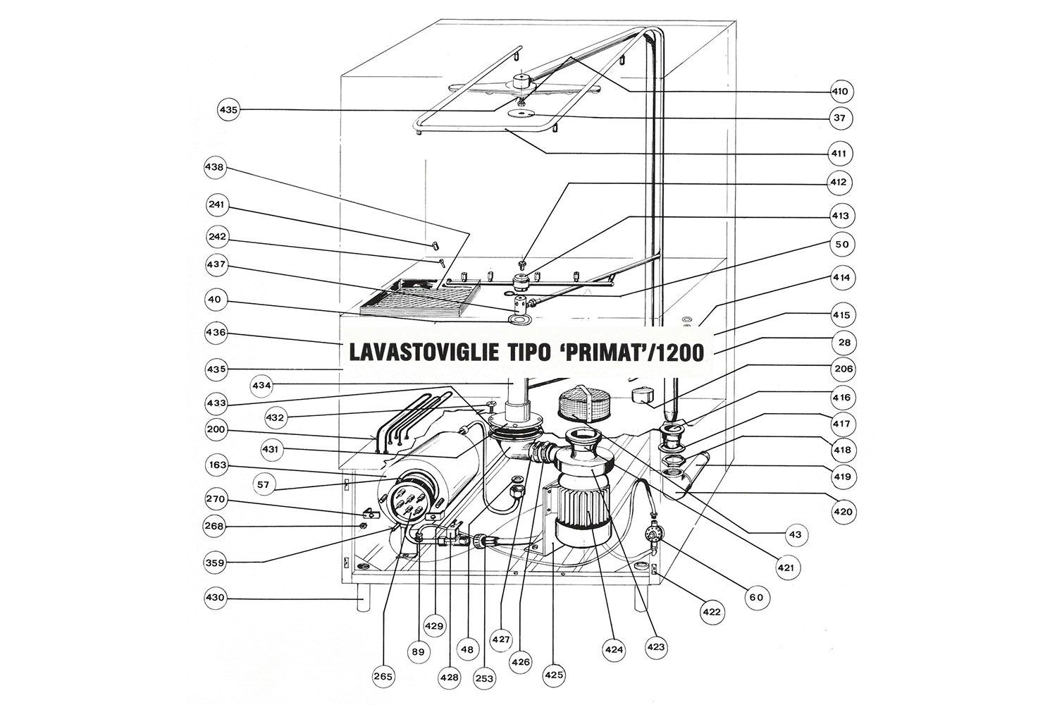 timeline-primat-1200